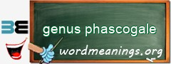 WordMeaning blackboard for genus phascogale